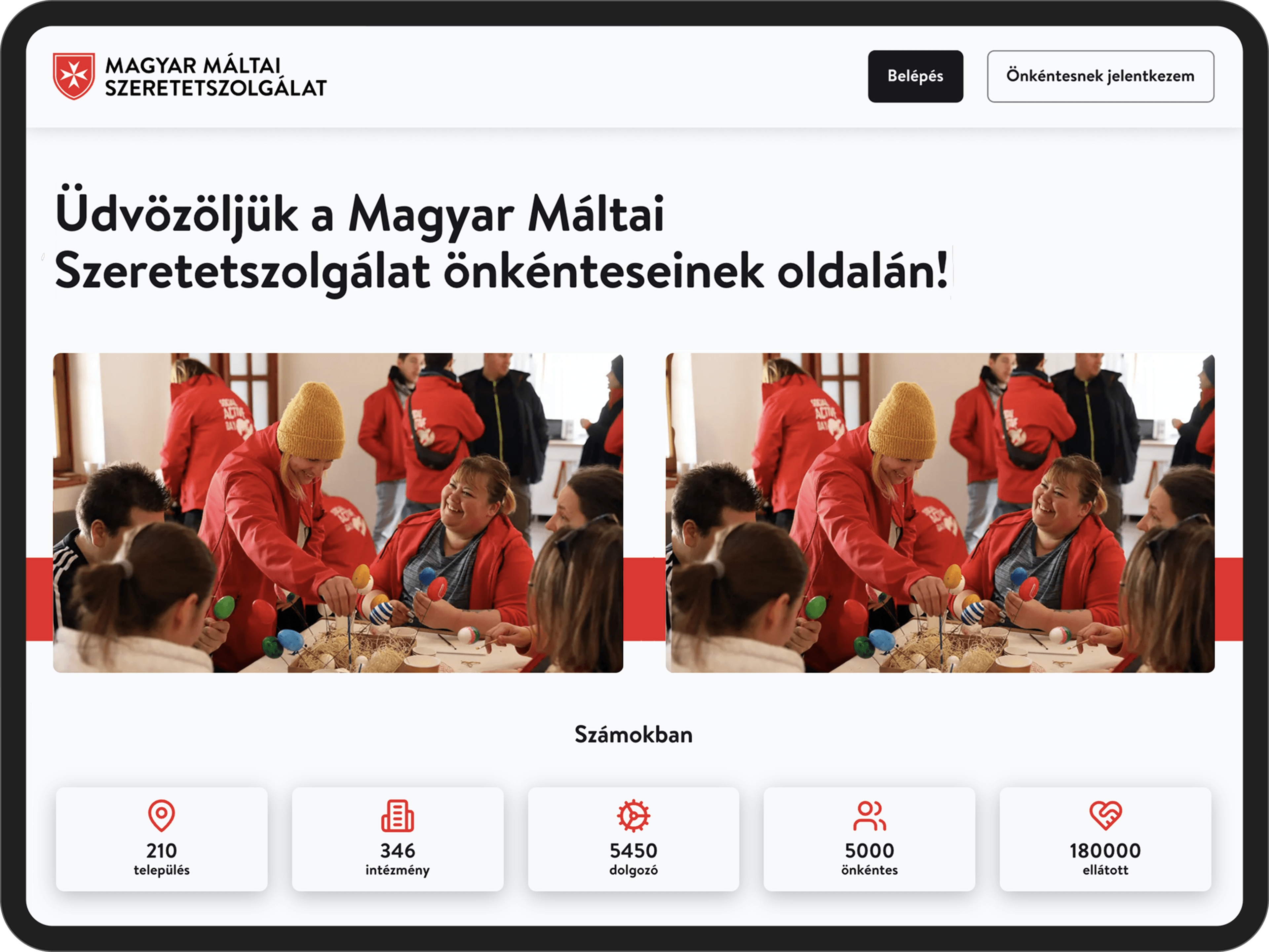 Volunteer registration system screenshot